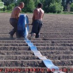 Использование ленты «капельный полив»