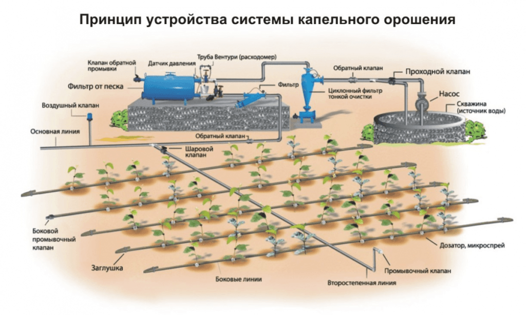 схема полива